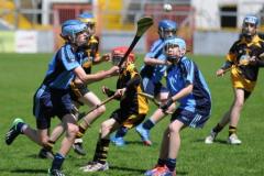 Sciath-Hurling-08