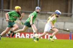 Sciath-Hurling