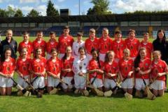 Sciath-Hurling