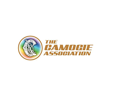 camogie association logo